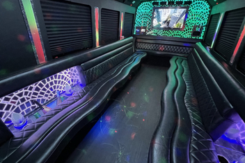 Roswell Limo Bus Interior